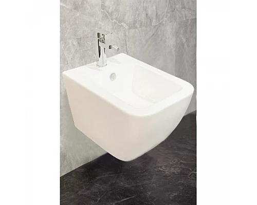 Биде Loretto Z19-25/W