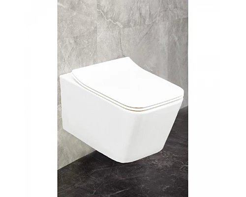 УНИТАЗ ПОДВЕСНОЙ БЕЗОБОДКОВЫЙ MELLE (крышка дюропласт-микролифт)