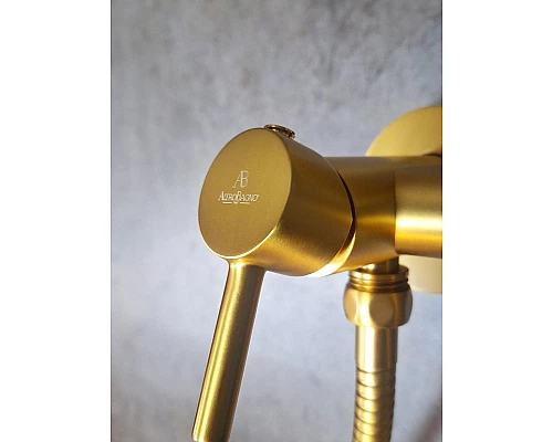 Встраиваемый гигиенический душ AltroBagno BM 060117 OrSp