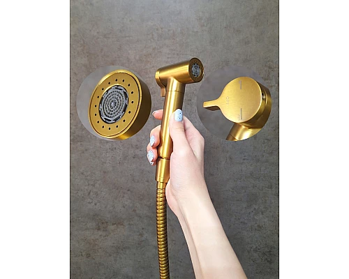 Встраиваемый гигиенический душ AltroBagno BM 060117 OrSp