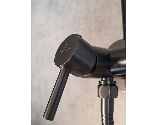 Встраиваемый гигиенический душ AltroBagno BM 060118 GrMt