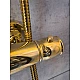 Душевая система с термостатом AltroBagno Beatrice 030404 Or