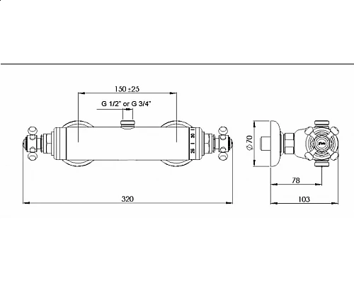 Смеситель термостатический для душа на 1 выход верхнее подключение CEZARES GOLF-DS-T-03/24