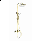 Душевая система с термостатом WONZON & WOGHAND SOLID, Брашированное золото (WW-C3011-A- BG)
