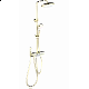 Душевая система с термостатом WONZON & WOGHAND, Брашированное золото (WW-B3580-BG)