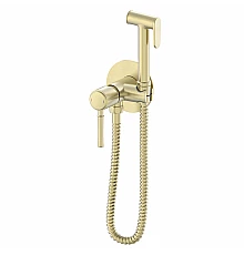 Смеситель с гигиеническим душем встраиваемый WONZON & WOGHAND TOR, Брашированное золото (WW-88829073-BG)