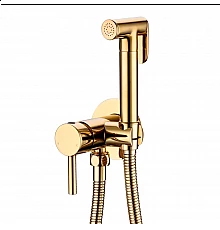 Смеситель встраиваемый с гигиеническим душем RIMERO RM010GO (Золото)