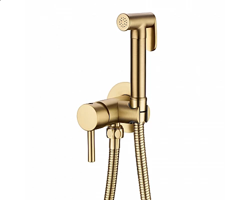 Смеситель встраиваемый с гигиеническим душем RIMERO RM010MG (Матовое золото)