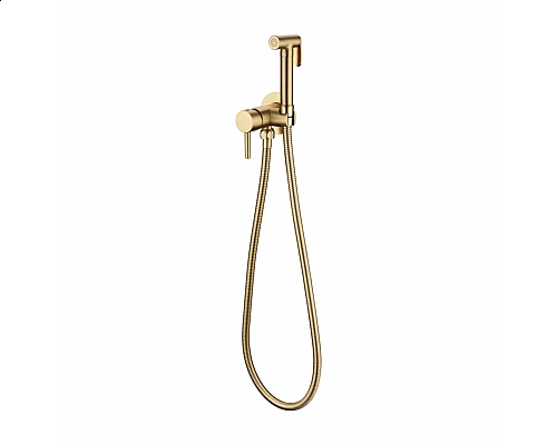 Смеситель встраиваемый с гигиеническим душем RIMERO RM010MG (Матовое золото)