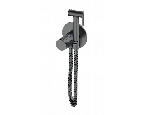 Гигиенический душ с термостатом AltroBagno BM 060404 GrMt